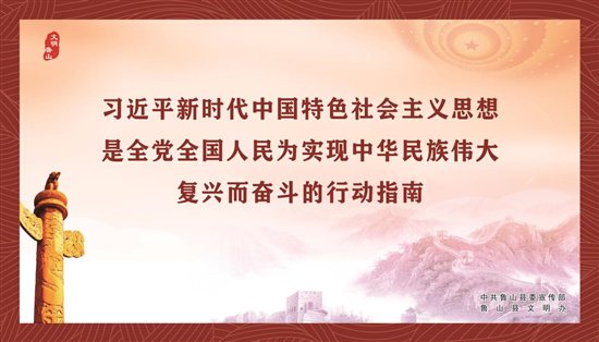 10习主席横版